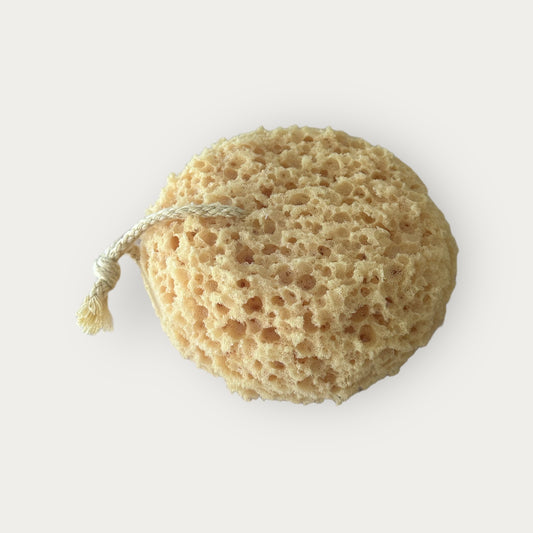 Éponge de mer naturelle
